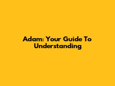 Adam: Your Guide To Understanding