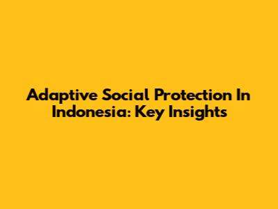 Adaptive Social Protection In Indonesia: Key Insights