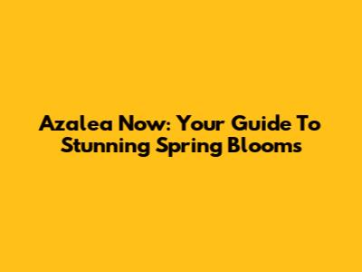 Azalea Now: Your Guide To Stunning Spring Blooms