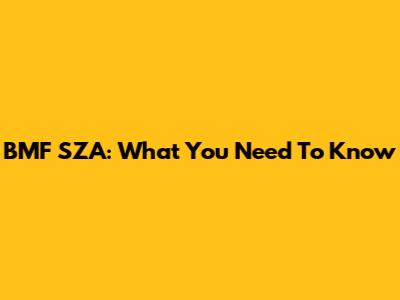 BMF SZA: What You Need To Know