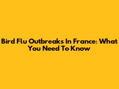 Bird Flu Outbreaks In France: What You Need To Know