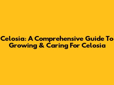 Celosia: A Comprehensive Guide To Growing & Caring For Celosia