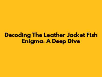Decoding The 'Leather Jacket Fish' Enigma: A Deep Dive