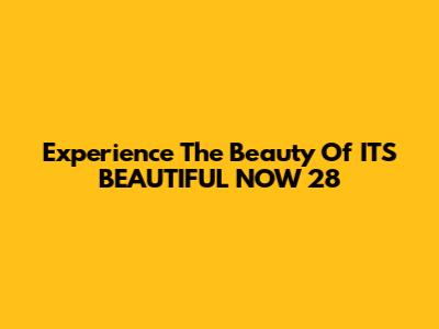 Experience The Beauty Of IT'S BEAUTIFUL NOW 28