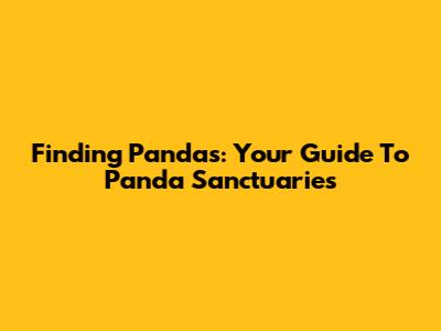 Finding Pandas: Your Guide To Panda Sanctuaries