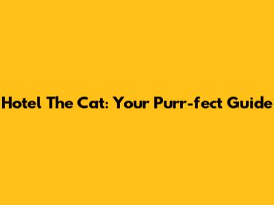 Hotel The Cat: Your Purr-fect Guide