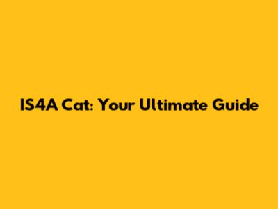 IS4A Cat: Your Ultimate Guide