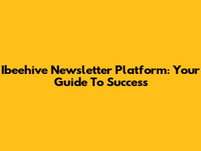 Ibeehive Newsletter Platform: Your Guide To Success
