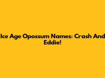Ice Age Opossum Names: Crash And Eddie!