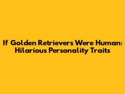 If Golden Retrievers Were Human: Hilarious Personality Traits