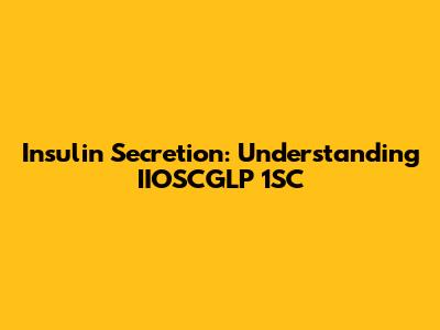 Insulin Secretion: Understanding IIOSCGLP 1SC
