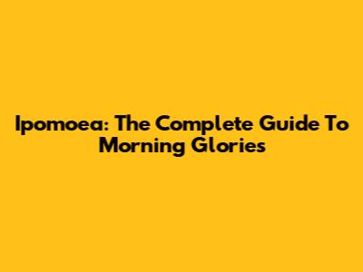 Ipomoea: The Complete Guide To Morning Glories