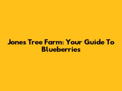 Jones Tree Farm: Your Guide To Blueberries