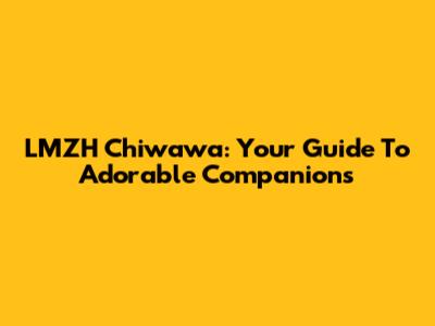 LMZH Chiwawa: Your Guide To Adorable Companions