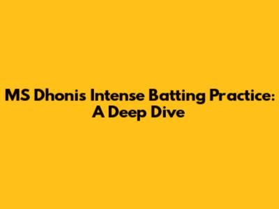 MS Dhoni's Intense Batting Practice: A Deep Dive