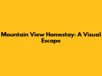 Mountain View Homestay: A Visual Escape