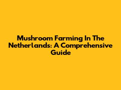 Mushroom Farming In The Netherlands: A Comprehensive Guide