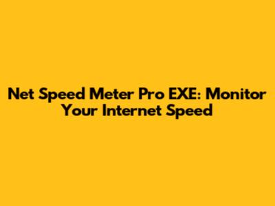 Net Speed Meter Pro EXE: Monitor Your Internet Speed