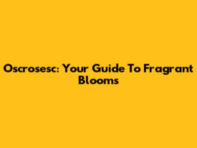 Oscrosesc: Your Guide To Fragrant Blooms