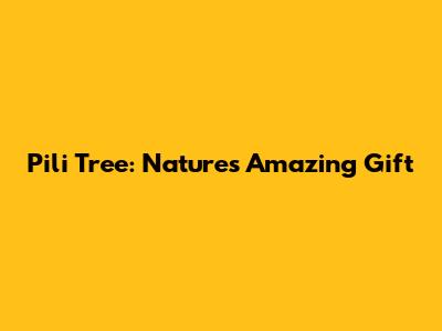 Pili Tree: Nature's Amazing Gift