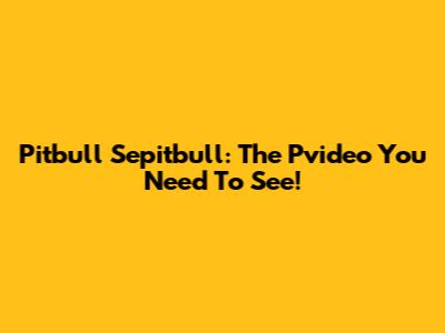 Pitbull Sepitbull: The Pvideo You Need To See!