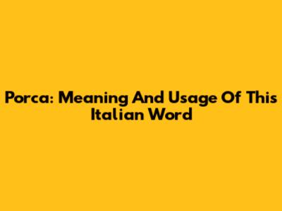 Porca: Meaning And Usage Of This Italian Word