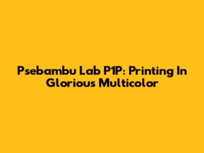 Psebambu Lab P1P: Printing In Glorious Multicolor