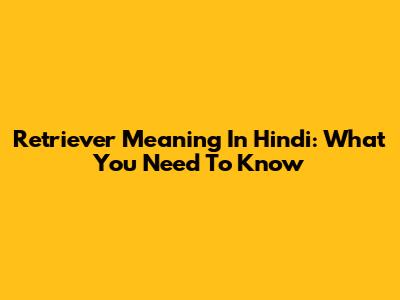 Retriever Meaning In Hindi: What You Need To Know