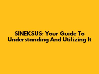 SINEKSUS: Your Guide To Understanding And Utilizing It