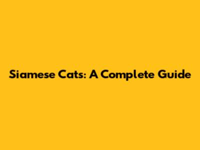 Siamese Cats: A Complete Guide