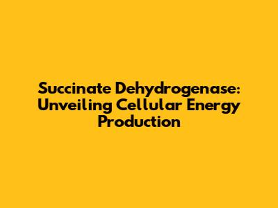 Succinate Dehydrogenase: Unveiling Cellular Energy Production