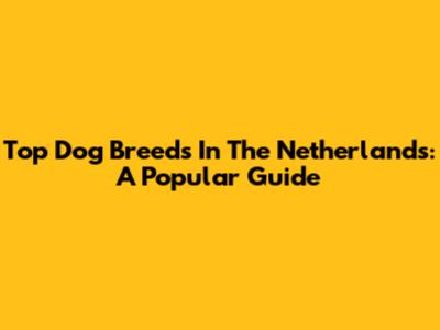 Top Dog Breeds In The Netherlands: A Popular Guide