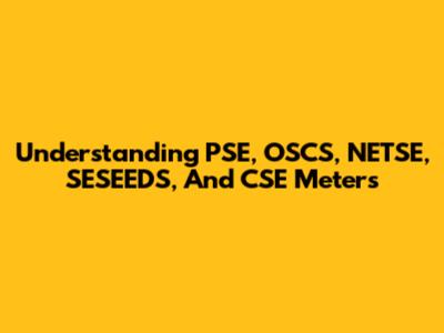 Understanding PSE, OSCS, NETSE, SESEEDS, And CSE Meters
