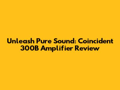 Unleash Pure Sound: Coincident 300B Amplifier Review