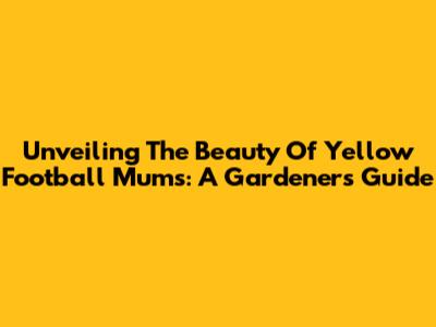 Unveiling The Beauty Of Yellow Football Mums: A Gardener's Guide