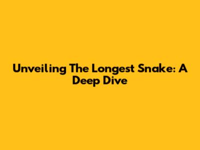 Unveiling The Longest Snake: A Deep Dive