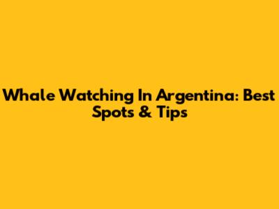 Whale Watching In Argentina: Best Spots & Tips