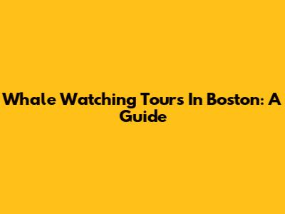 Whale Watching Tours In Boston: A Guide