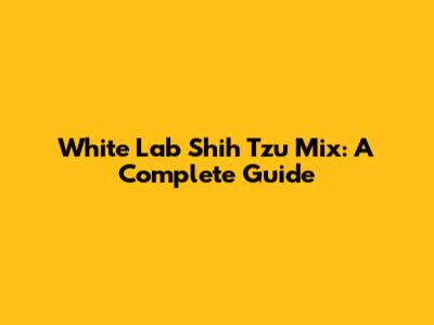 White Lab Shih Tzu Mix: A Complete Guide
