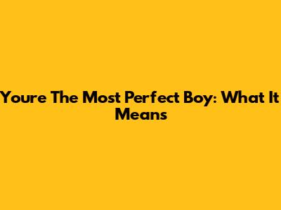 You're The Most Perfect Boy: What It Means