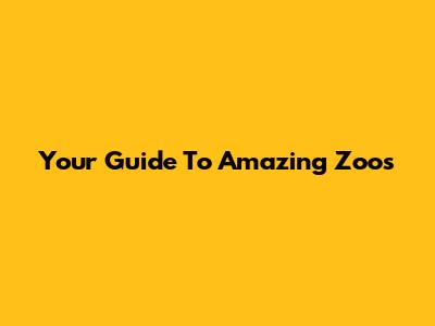 Your Guide To Amazing Zoos