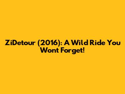 ZiDetour (2016): A Wild Ride You Won't Forget!